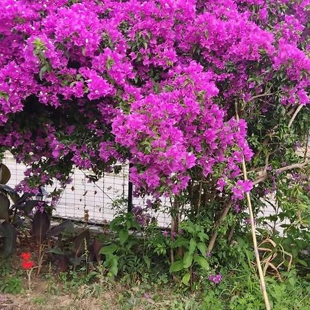 Garden House Kastellani Guest House Kastellanoi  ภายนอก รูปภาพ