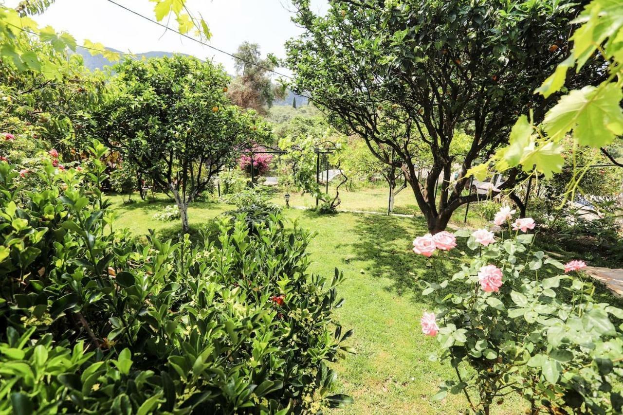 Garden House Kastellani Guest House Kastellanoi  ภายนอก รูปภาพ